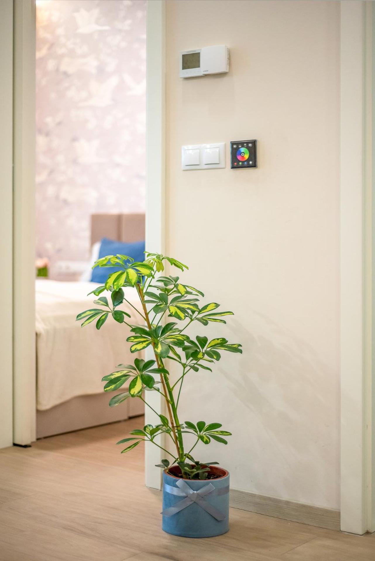 Appartement Lavida Deluxe